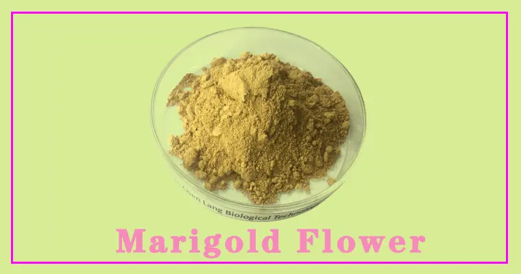 Marigold-Flower.gif