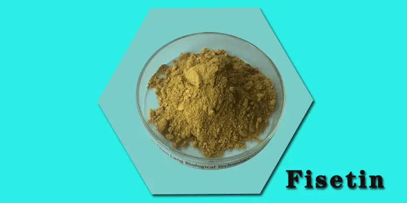 Fisetin-powder.gif