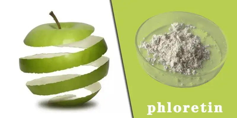 phloretin-f.gif