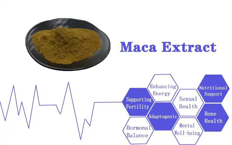 Maca Extract jpg