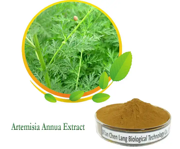 Artemisinin Extract hmoov.jpg