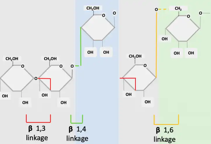Natural Beta Glucan.jpg Natural Beta Glucan.jpg