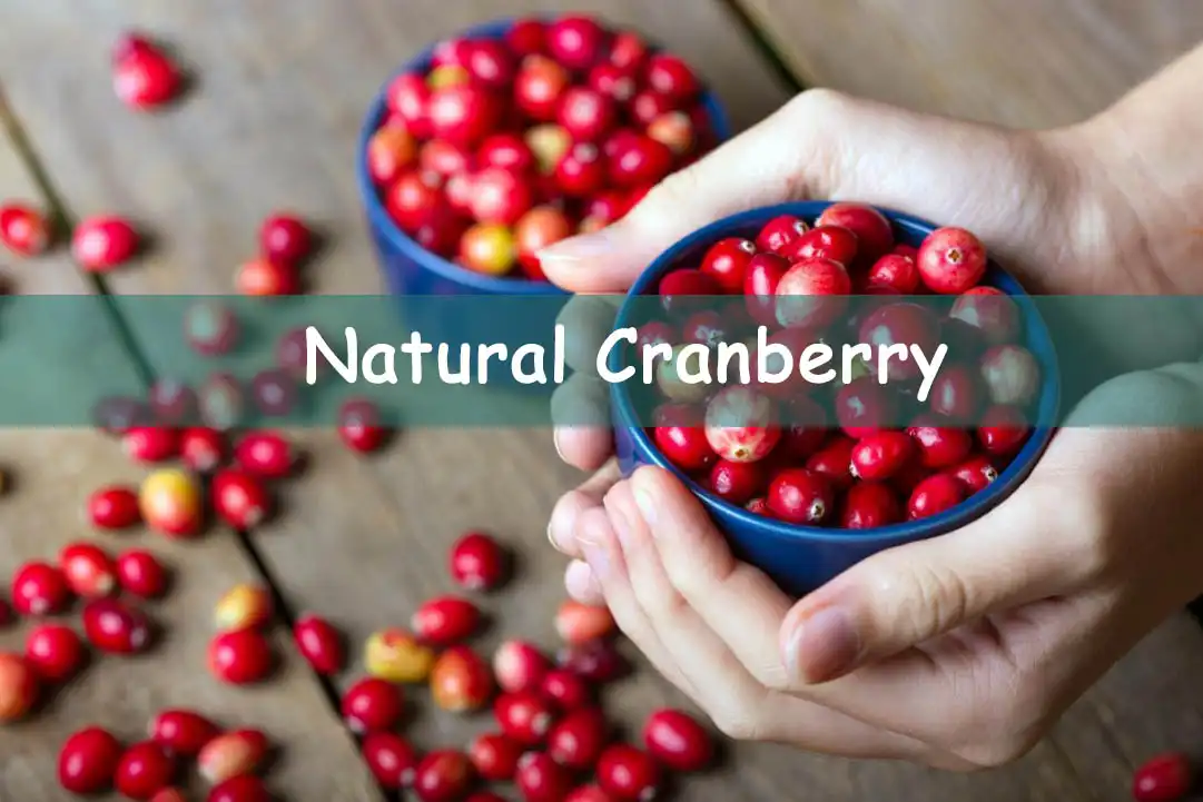 Ntuj Cranberry.jpg