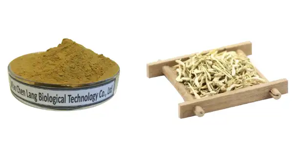 Honeysuckle Paj Extract hmoov.jpg