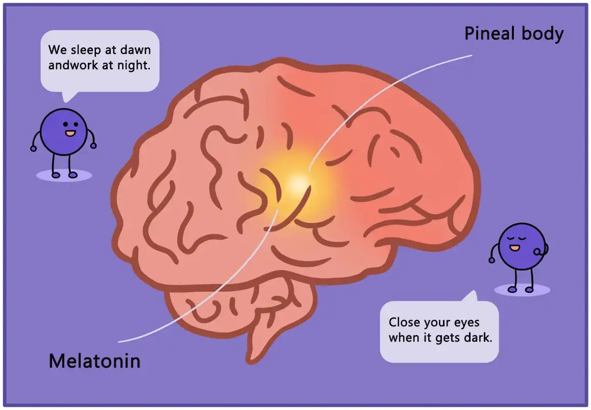 Κλείστε τα μάτια σας όταν βραδιάζει..jpg Κλείστε τα μάτια σας όταν βραδιάζει..jpg
