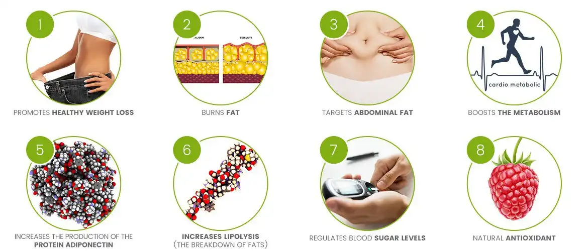Ntshiab Raspberry Ketone.webp
