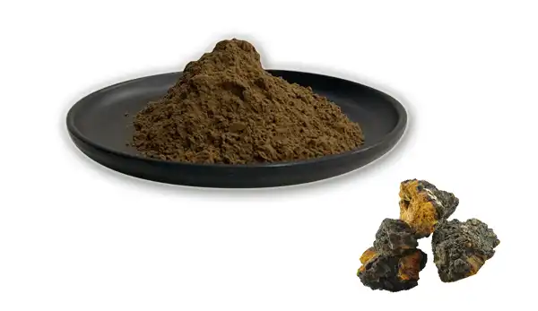 Chaga mycelium extract supplier Yangge Biotech Chaga mycelium extract supplier Yangge Biotech