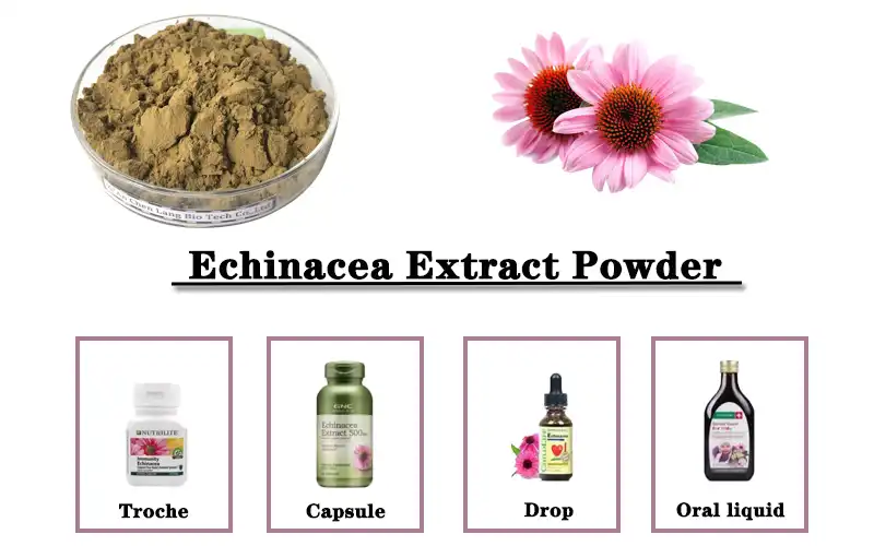 Echinacea Extract hmoov.jpg