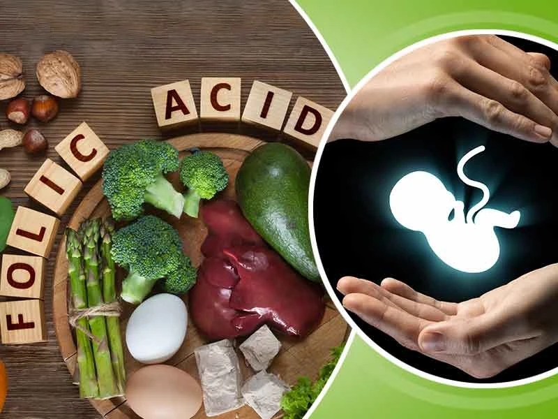 Folic acid hmoov.webp