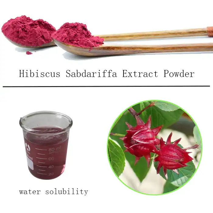 Hibiskus Sabdariffa Extract Powder Factory.jpg