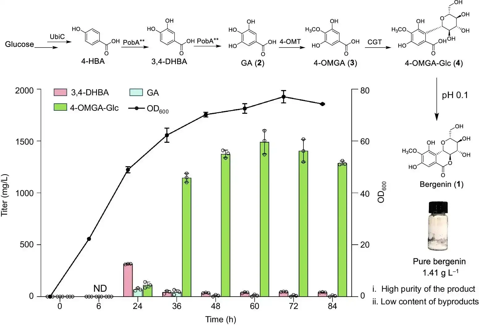 Bergenia Extract Factory.jpg