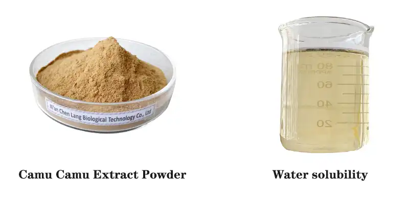 Camu Camu Extract Powder.jpg