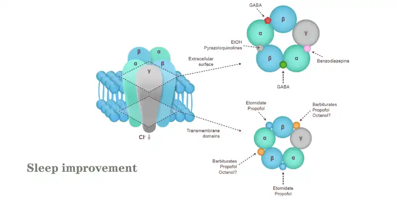 Detholiad gwraidd Valerian powder.jpg