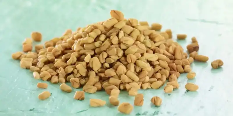 Fenugreek.jpg