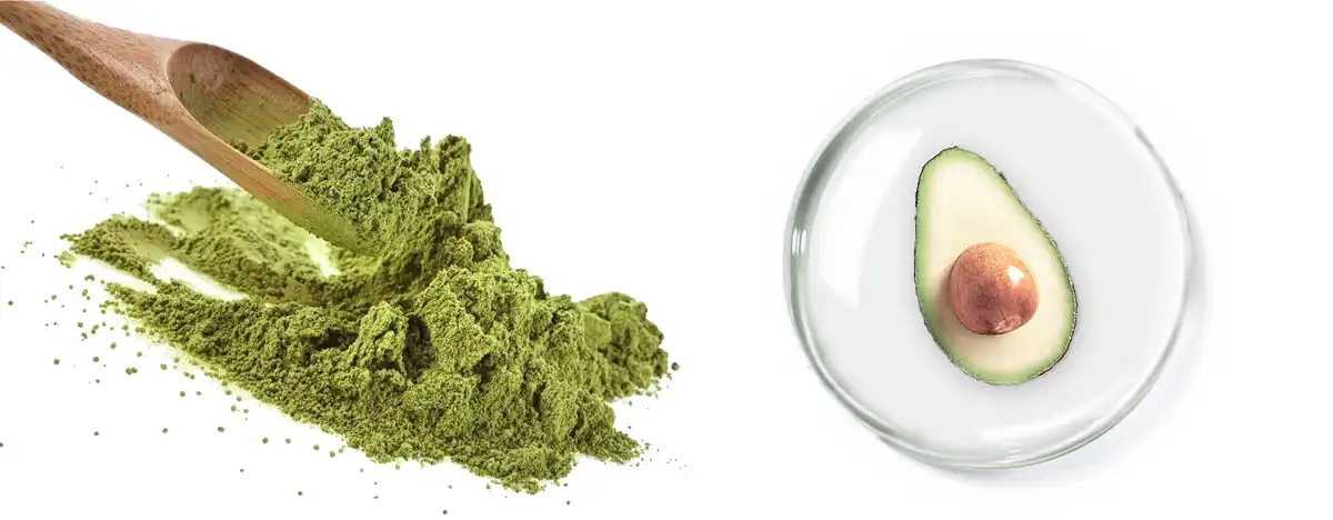 Avocado Muag.jpg