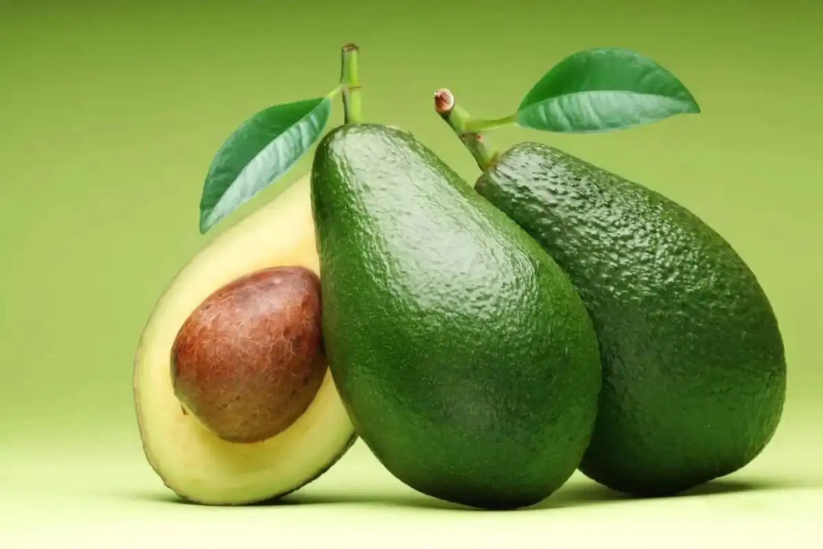 Avocado Powder.jpg