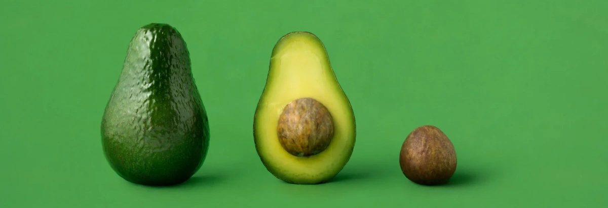 Avocado Factory.jpg