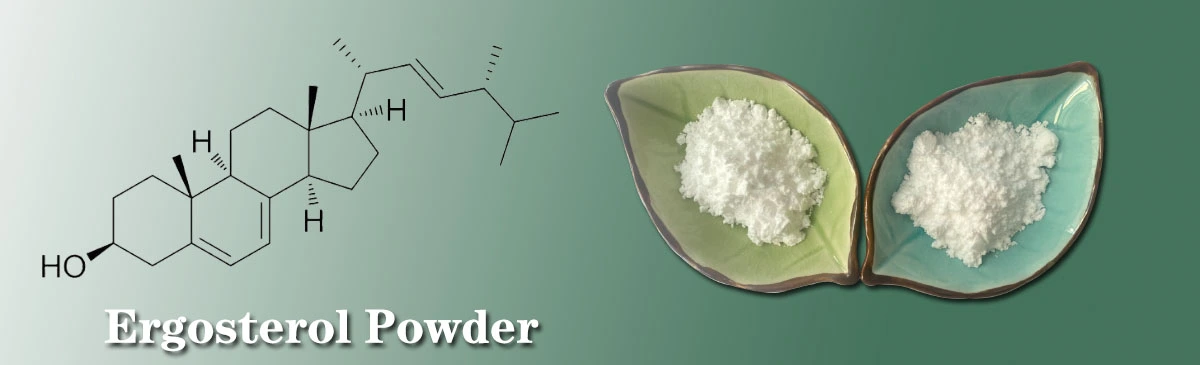 Ergosterol Hmoov Supplier.jpg