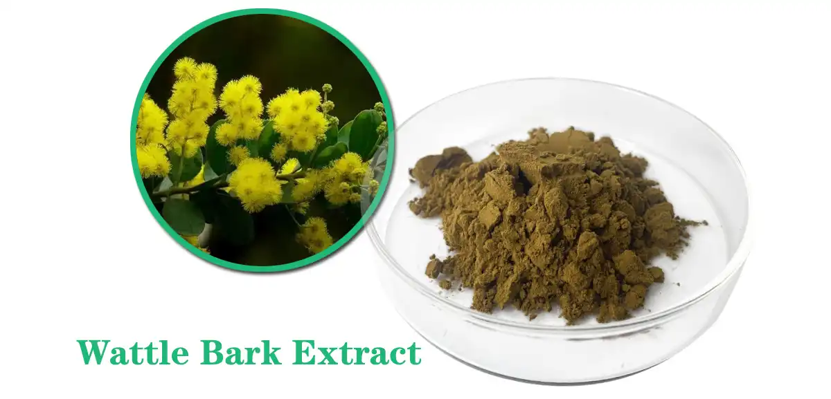 Wattle ቅርፊት የማውጣት Sale.jpg