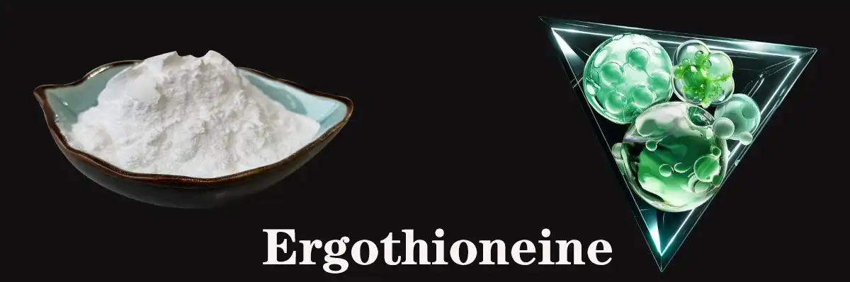 Ergothioneine Older.jpg Ergothioneine Older.jpg
