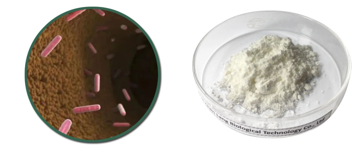 Muag Benfotiamine Powder.jpg