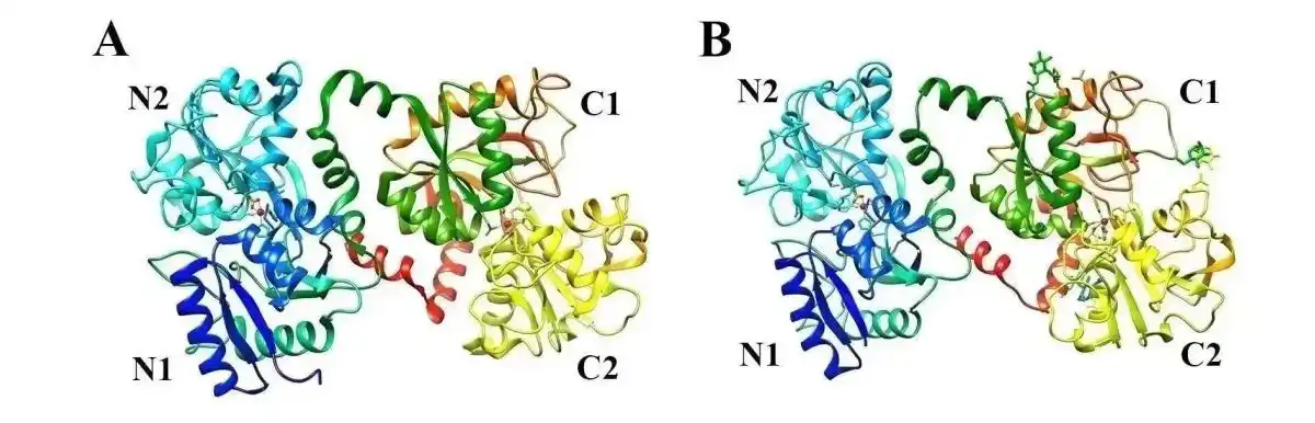 Dobavljač laktoferina u prahu.jpg Dobavljač laktoferina u prahu.jpg