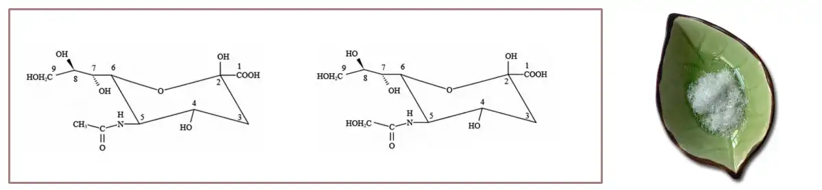 Sialic Acid Muag.jpg