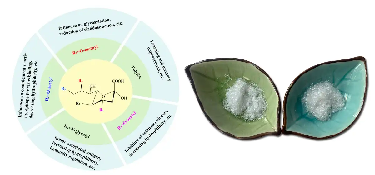 Sialic Acid Hmoov Supply.jpg
