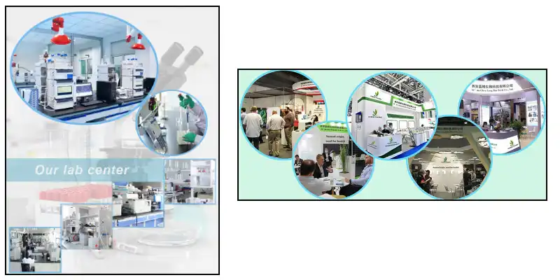 cin lang.jpg cin lang.jpg