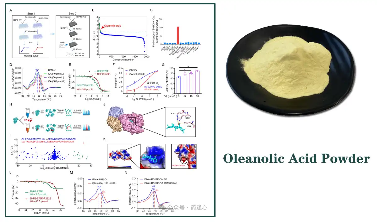Oleanolic Acid Hmoov Factoey.jpg