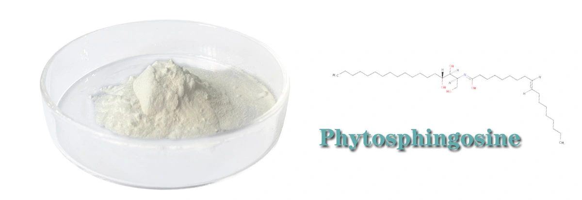 Phytosphingosine Supplier.jpg