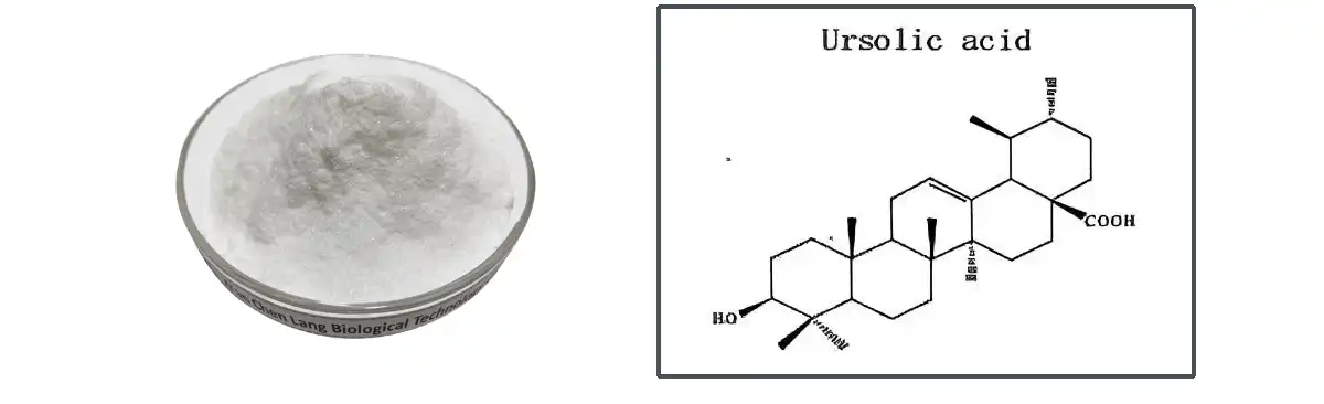 Ursolic Acid Hmoov.jpg