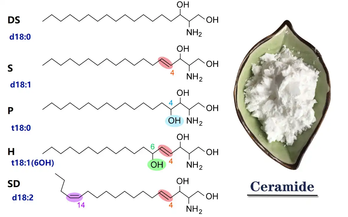 Ceramic Pure.jpg