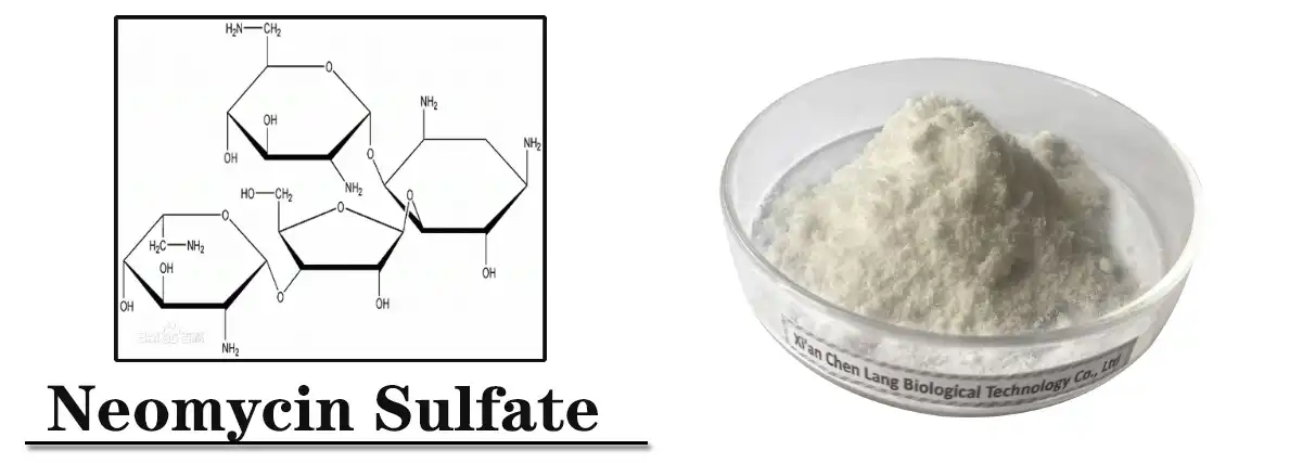 Neomycin Sulfate Hmoov Saler.jpg