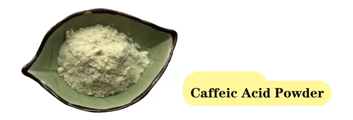 Caffeic Acid Hmoov Saler.jpg