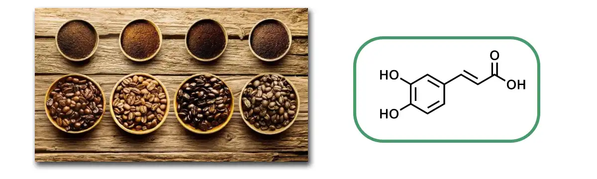 Caffeic Acid Hmoov.jpg