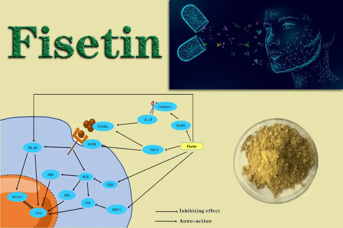 Fisetin Ntshiab.jpg