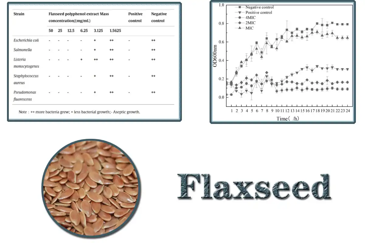 Flaxseed hmoov.jpg