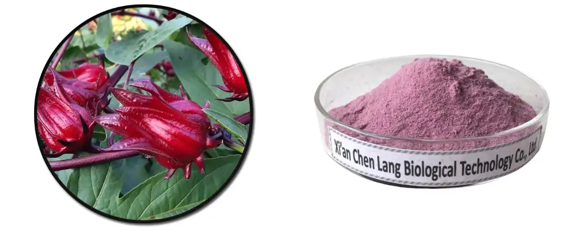 Roselle Hmoov Saler.jpg