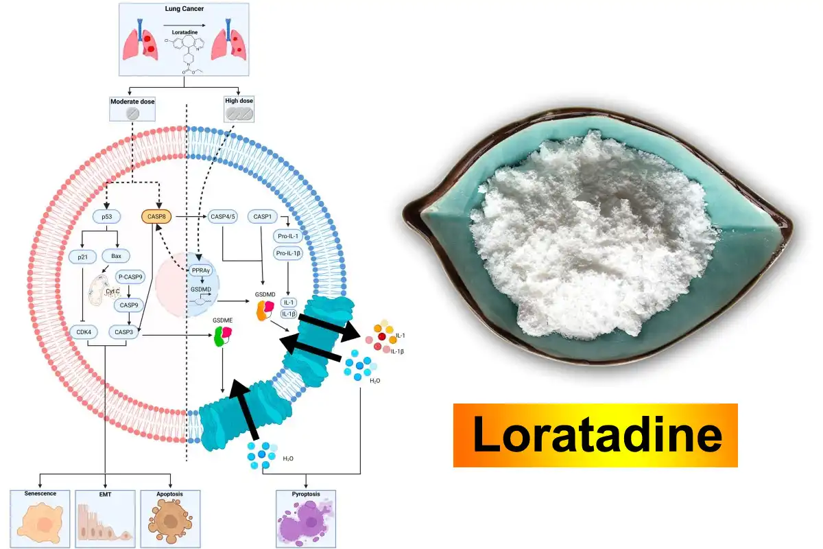 Loratadine አቅራቢ.jpg