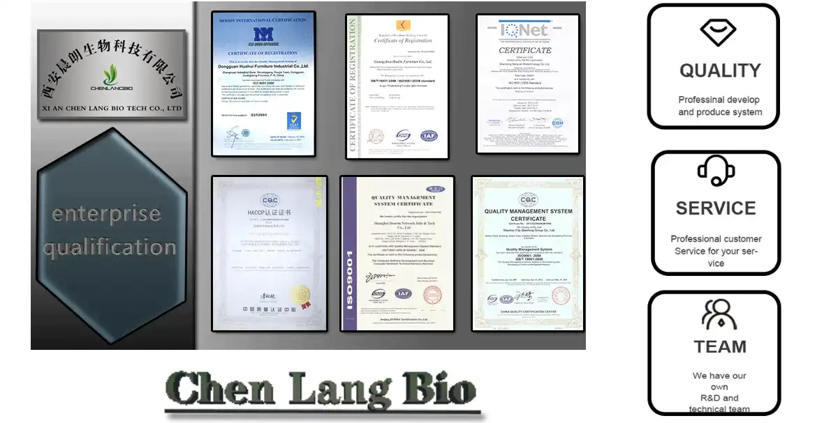 certification33.jpg