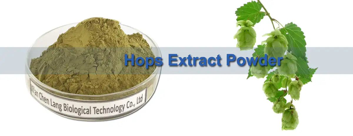 Hops Extract Powder Supplier.jpg Hops Extract Powder Supplier.jpg
