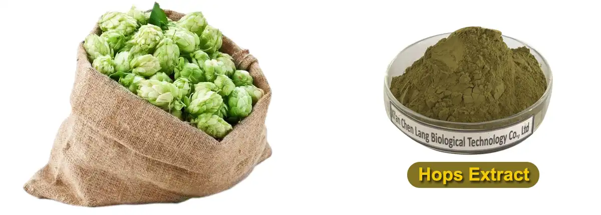 Hops Extract Supplier.jpg Hops Extract Supplier.jpg