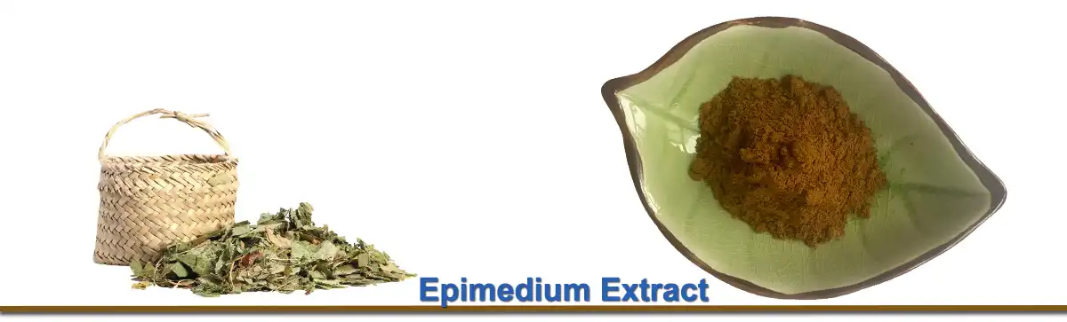 Epimedium ማውጣት AAAAAA.jpg