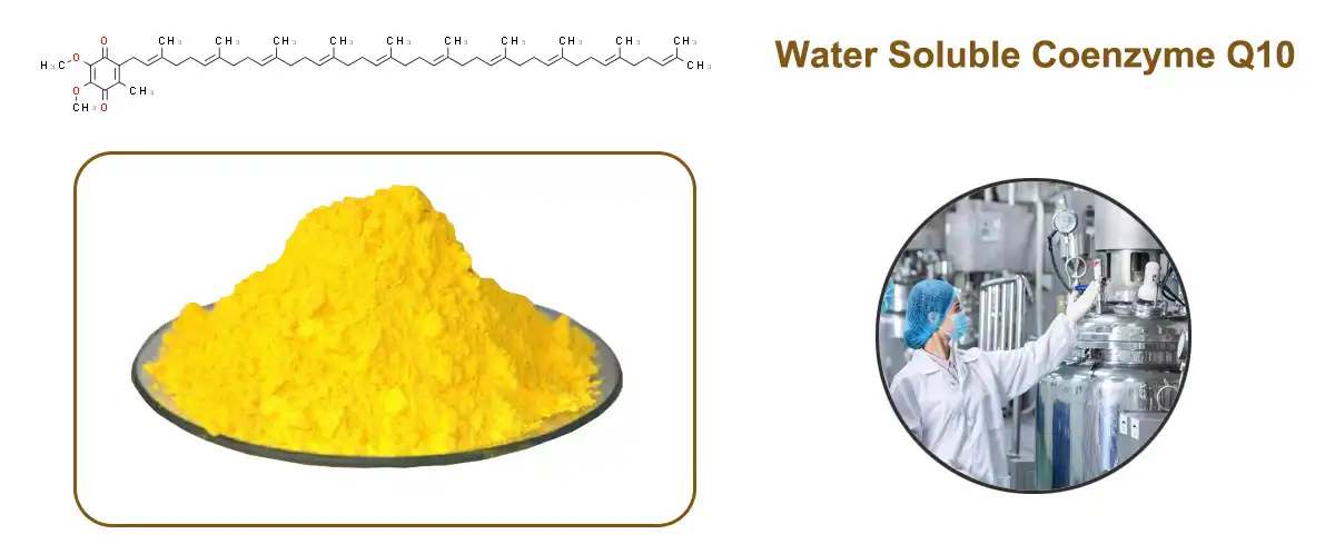 ውሃ የሚሟሟ Coenzyme Q10 Powder.jpg