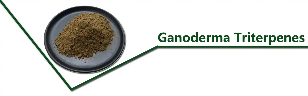 Σκόνη τριτερπενίων γανοδέρματος.jpg Σκόνη τριτερπενίων γανοδέρματος.jpg