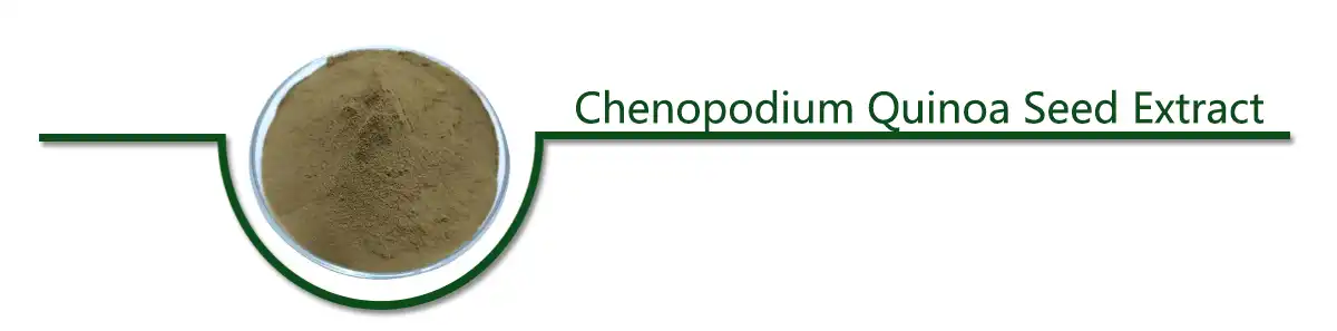 Chenopodium Quinoa ዘር .jpg
