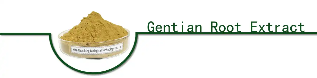 Gentian Root Extract powder.jpg