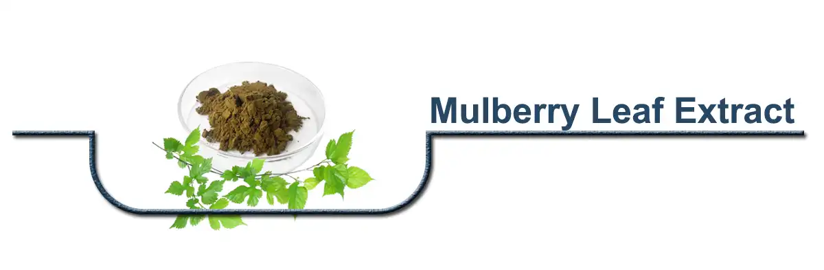 Mulberry Leaf Extract.jpg