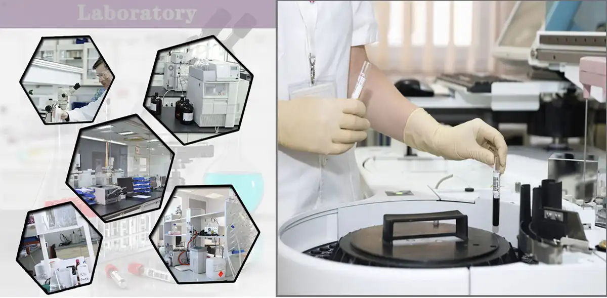LAB5.jpg